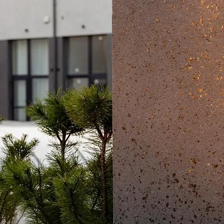 Apartment Alana Loft