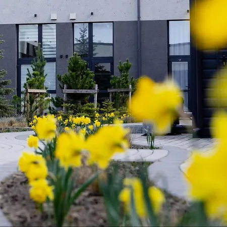 Alana Loft Apartment Palanga