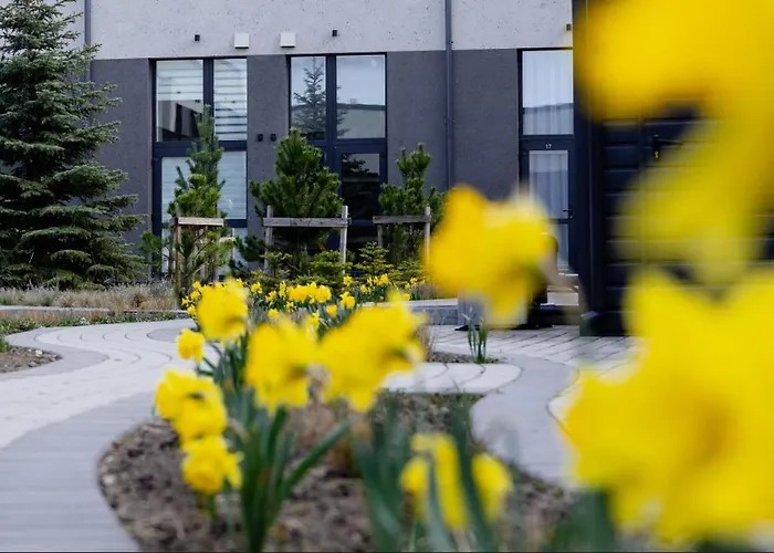 Apartment Alana Loft *